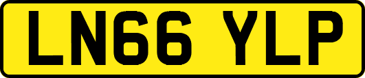 LN66YLP