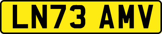 LN73AMV