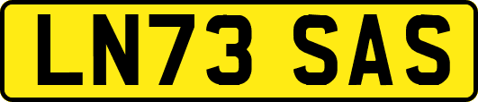 LN73SAS