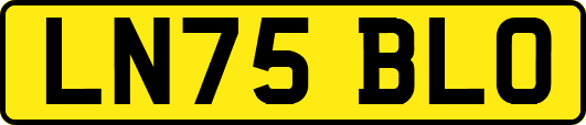 LN75BLO