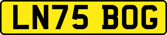 LN75BOG