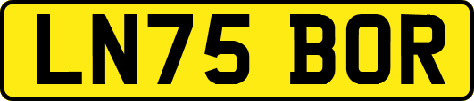 LN75BOR