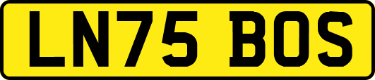 LN75BOS