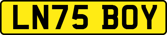 LN75BOY