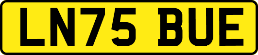 LN75BUE