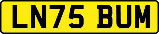 LN75BUM