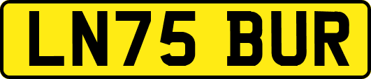 LN75BUR