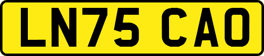 LN75CAO