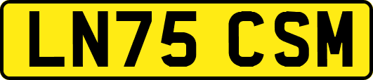 LN75CSM