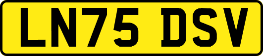 LN75DSV