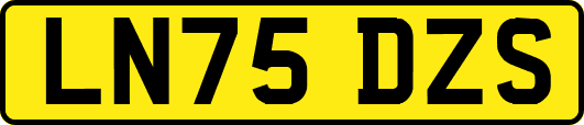 LN75DZS