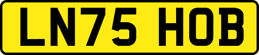 LN75HOB