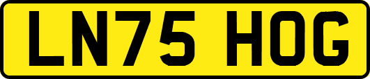 LN75HOG