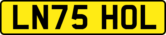 LN75HOL