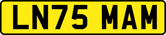 LN75MAM