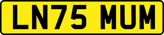 LN75MUM