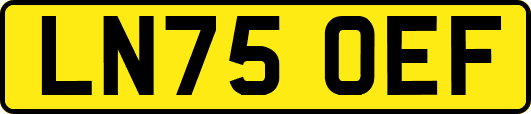 LN75OEF