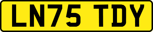 LN75TDY