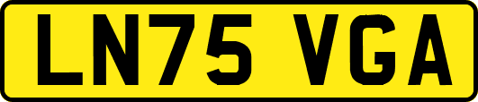 LN75VGA