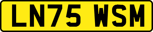 LN75WSM