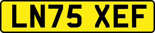 LN75XEF