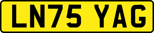 LN75YAG