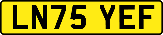 LN75YEF