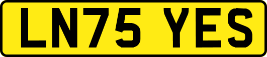 LN75YES