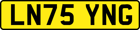 LN75YNG