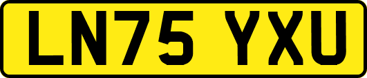 LN75YXU