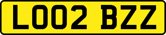 LO02BZZ