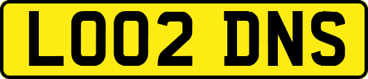 LO02DNS