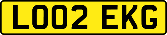 LO02EKG
