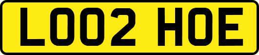 LO02HOE