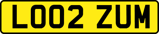 LO02ZUM