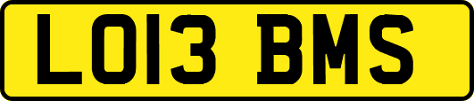 LO13BMS