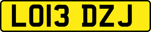 LO13DZJ
