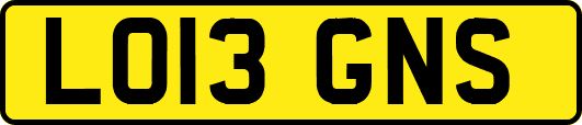 LO13GNS