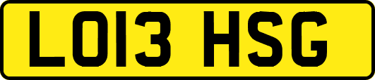 LO13HSG