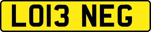 LO13NEG