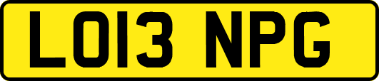 LO13NPG