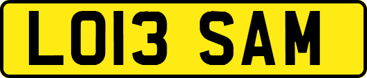 LO13SAM