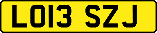 LO13SZJ