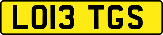 LO13TGS