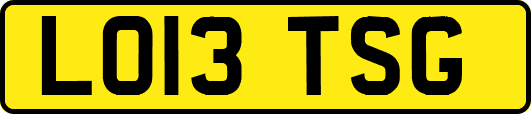 LO13TSG