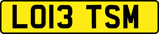 LO13TSM