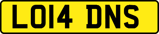 LO14DNS