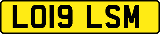 LO19LSM