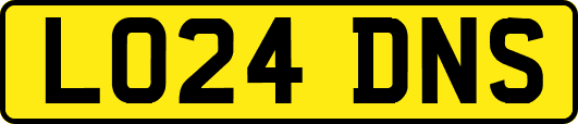 LO24DNS