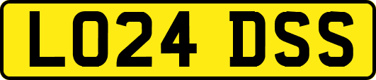LO24DSS